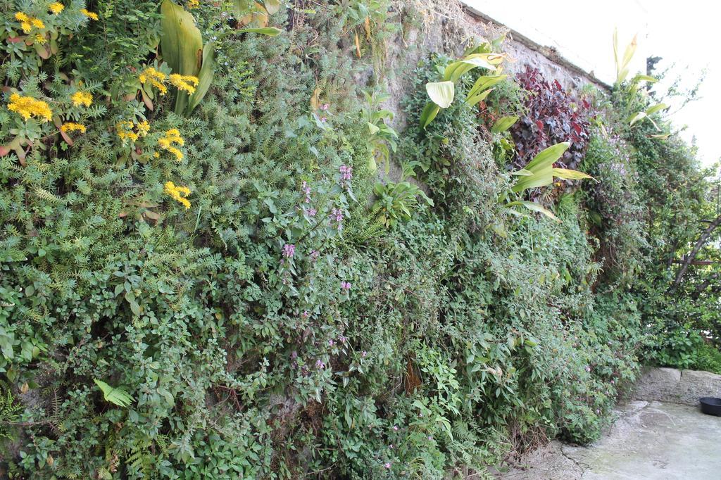 Guesthouse Toticevi Rijeka Bilik gambar
